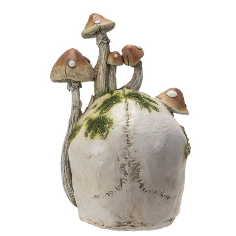 Image shows a back view of the skull with mushrooms growing out of it