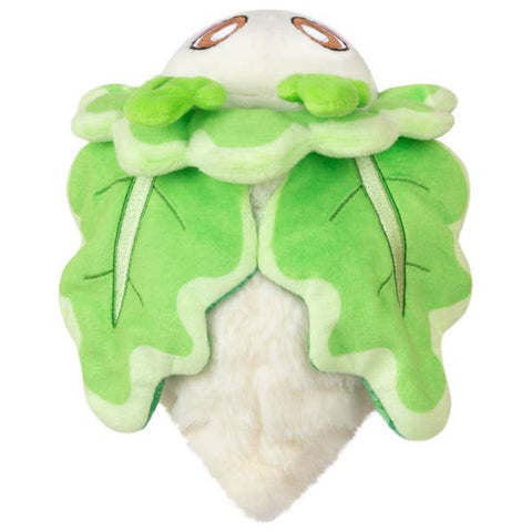 A top-down view of the plush turnip moth