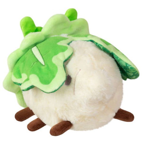 Back angle view of the plush turnip moth