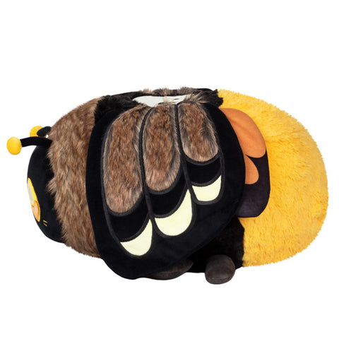 A side view of the plush Death's Head Hawkmoth