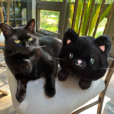 The plush black kitty sits next to a real cat.