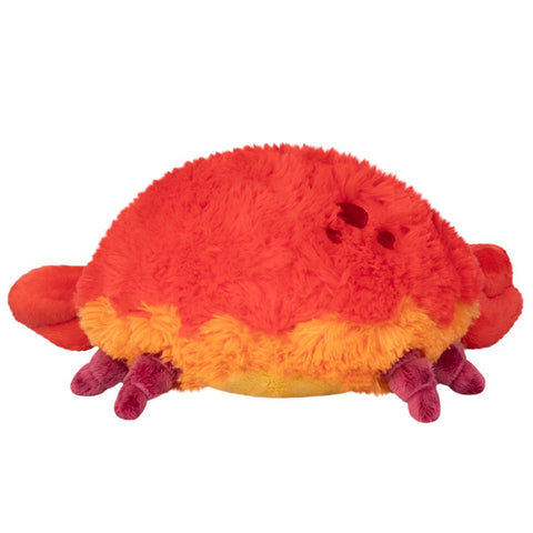 Image shows a back view of the stuffed crab