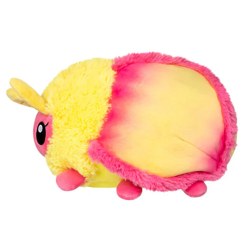 A side view of the plush rosy maple moth