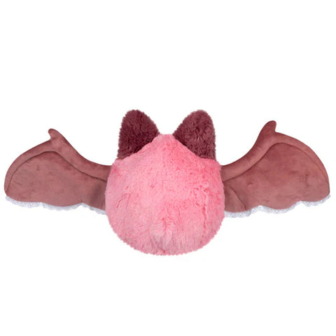 Image shows a back view of the sweetheart bat with its wings open