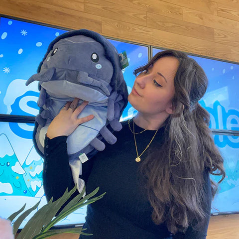 Image shows a woman holding the stuffed rollie pollie pillbug. It is about the size of her head and chest combined.
