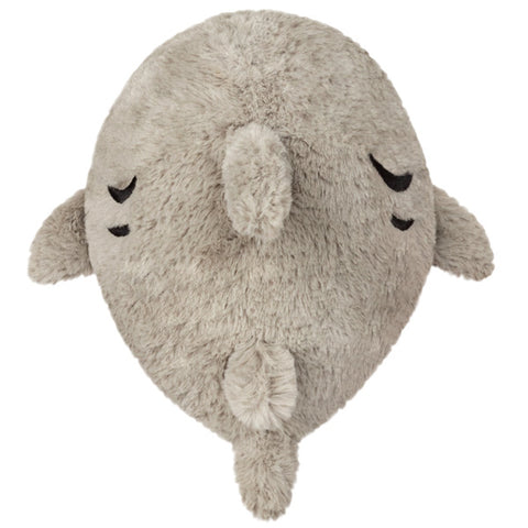 Image shows a top-down view of the stuffed great white shark
