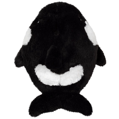 Image shows a top-down view of the stuffed orca whale