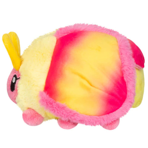 Image shows a side view of the stuffed rosy maple moth