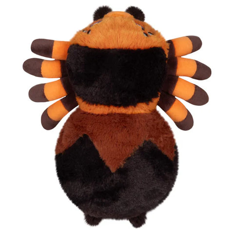 Image shows a top-down view of the stuffed tarantula