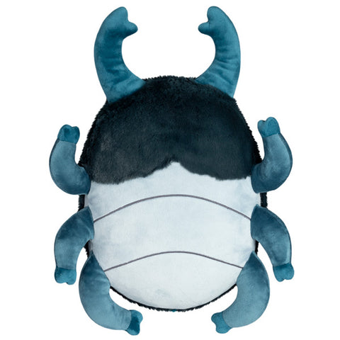 Image shows a bottom-up view of the stuffed stag beetle
