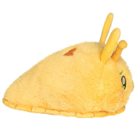 Image shows a side view of the bunny slug