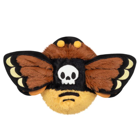 The top view of a stuffed Death's Head Hawkmoth