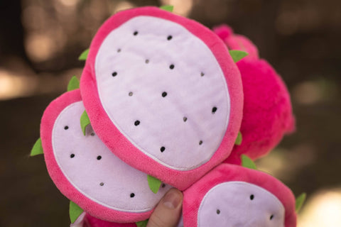 Image shows the details of the wings of the moth. They look liked sliced dragon fruit.