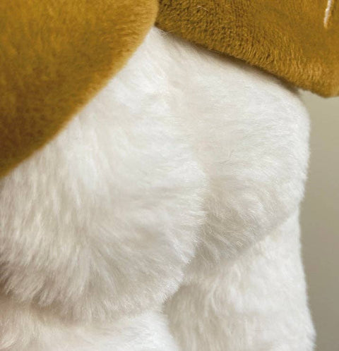 Close up of baby poodle mothman's backside