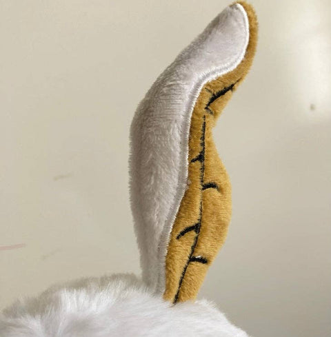 Close up detail of baby poodle mothman's antennae