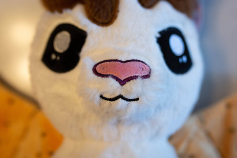 Image shows a closeup of the moth's face. Its head is dipped in chocolate and its nose is heart shaped.