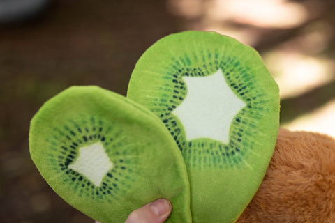 Image shows a closeup of the stuffed moth's wings. They look velvety and like sliced kiwis.