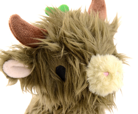 A close up of the mossy highland cow's face