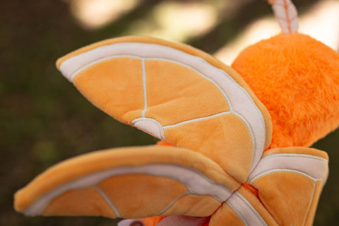 Image shows a close up of the moth's wings. They are shaped like orange slices and look velvety.