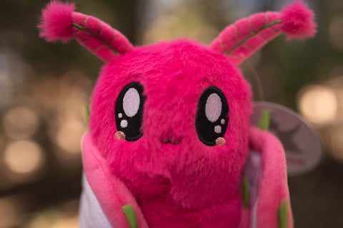 Image shows a closeup of the stuffed moth's face