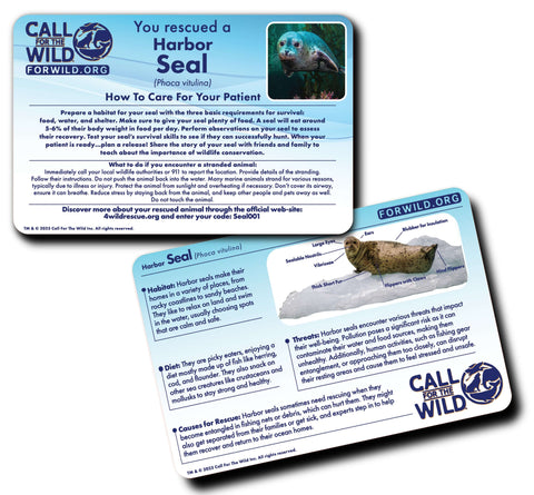 Image shows an information card for the Harbor Seal