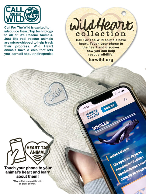 Image shows an app which is connected to the embroidered heart on the stuffy