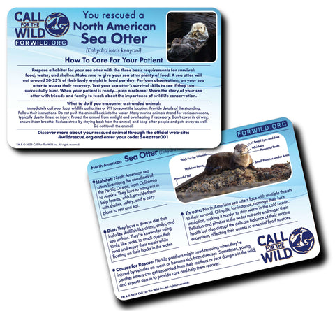 Image shows an information card for the sea otter