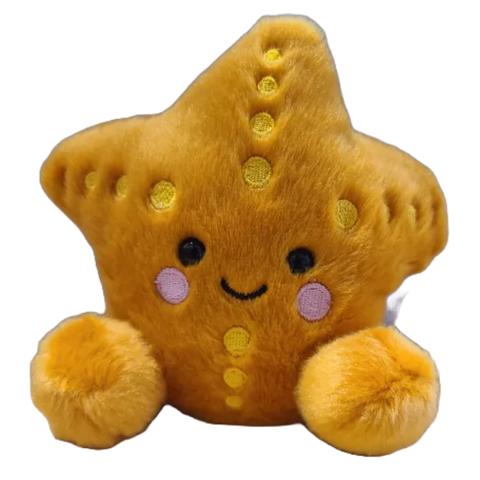 Image shows the orange stuffed starfish