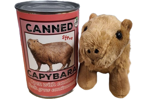 Image shows a stuffed Capybara next to a can that says "canned capybara"