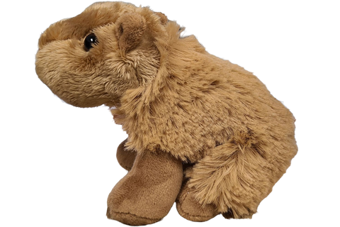 Image shows the stuffed capybara