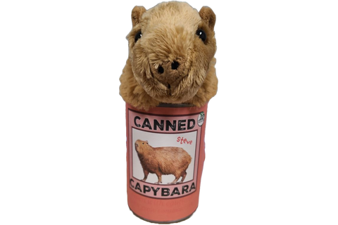 Image shows the stuffed capybara sticking its head out of the can