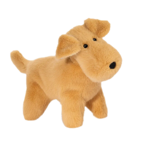 Plush tan terrier-type dog with a large, round muzzle on a white background