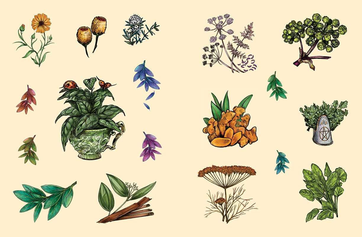 Two pages of stickers of various plants and flowers