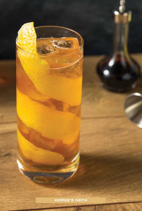 Image depicts a cocktail titled Horse's Neck