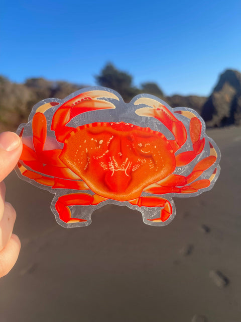 Sticker - Dungeness Crab (Clear)