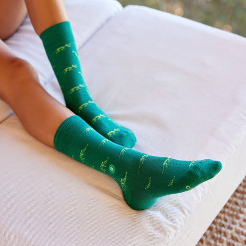 Socks that Give Books - Green Dinosaurs