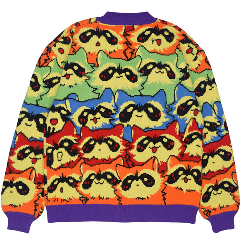 Cardigan - Rainbow Raccoon