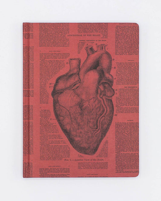 Journal (Hardcover) - Anatomical Heart (Lined/Grid)
