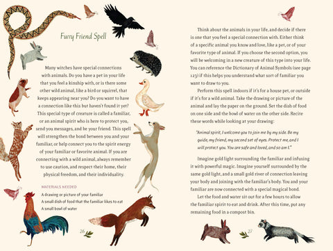 Book (Hardcover) - The Little Witch's Book of Spells