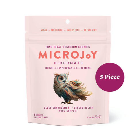 Mushroom Gummies - Hibernate  5-piece Sampler