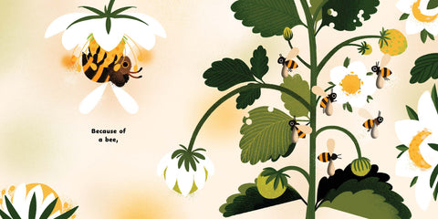 Book (Hardcover) - Because of a Bee