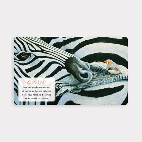 Board Book - You Stole My Name Board Book (Travel Size)