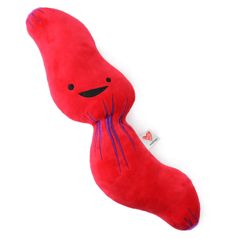 Stuffed Animal - Esophagus