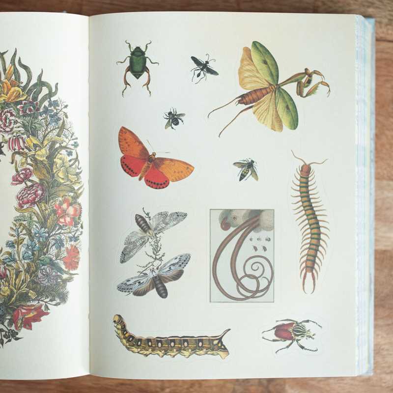 Sticker Book (Hardcover) - Cabinet of Curiosities