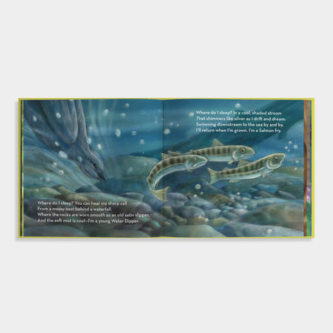 Board Book - Where Do I Sleep? A Pacific Northwest Nature Lullaby