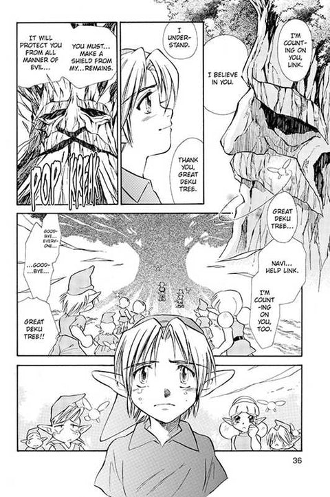 Book (Paperback) - Legend of Zelda, Vol. 1