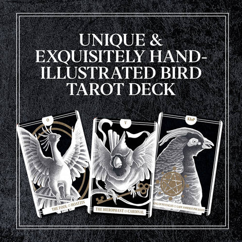 Tarot Cards - Avian
