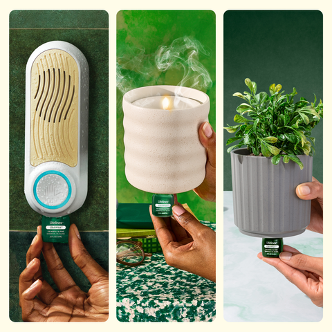 ClickWick Diffuser Refill - Walk in the Woods