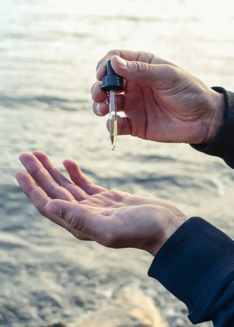 Facial Serum - Reishi Lucidum™
