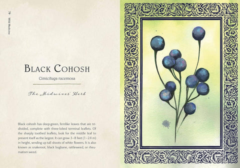 Book (Hardcover) - Wild Medicine: Illustrated Guide to the Magick of Herbs